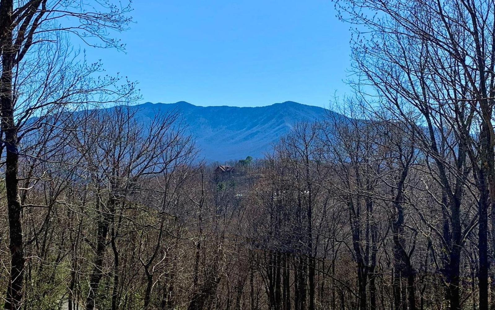 Grand Ole Chalet - Mt Viewsfireplacefirepitarcade Gatlinburg Εξωτερικό φωτογραφία