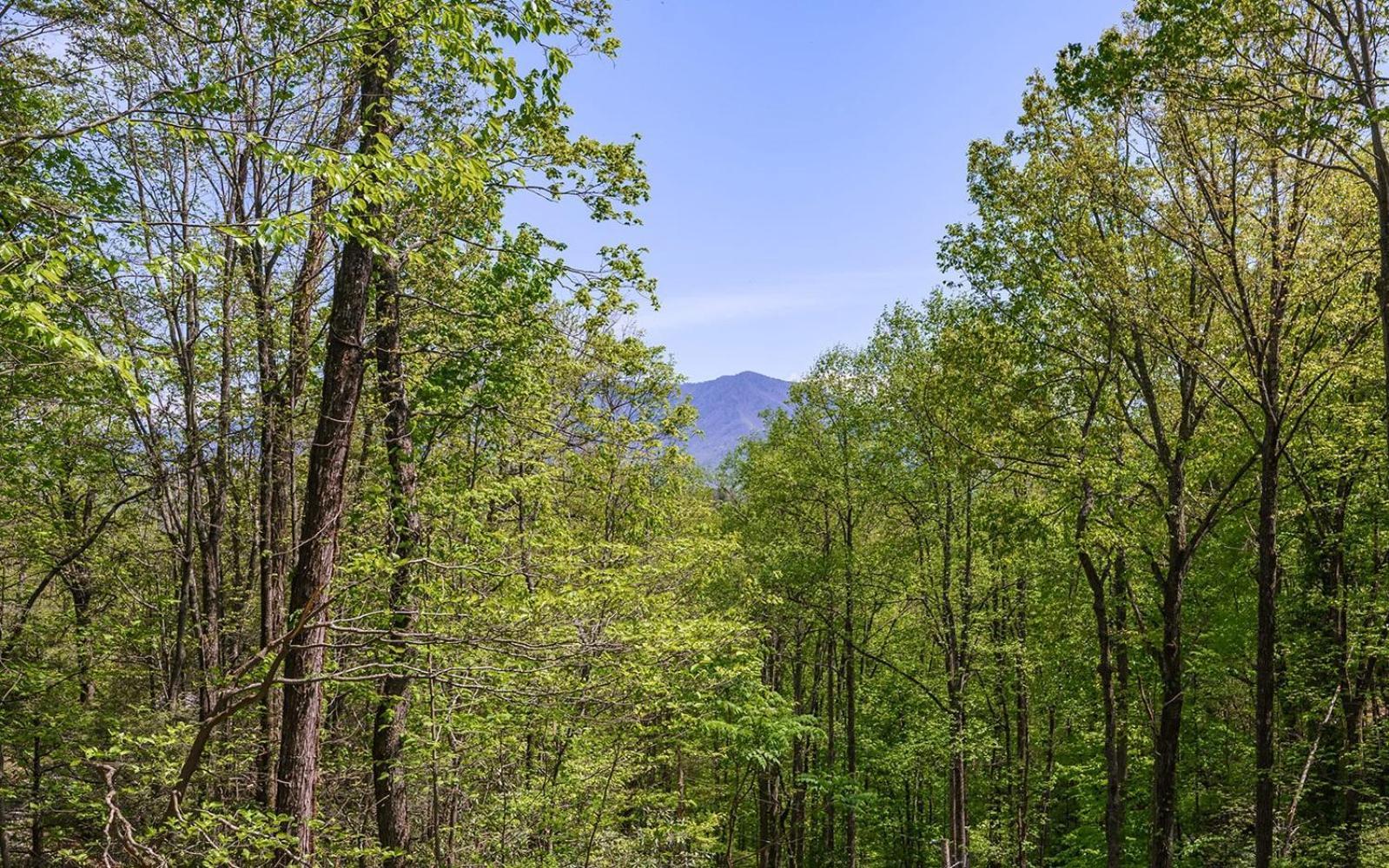 Grand Ole Chalet - Mt Viewsfireplacefirepitarcade Gatlinburg Εξωτερικό φωτογραφία